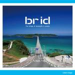 HFvision (HFvision)さんの美容室経営など美容関係の会社 新規設立「株式会社brid」の会社ロゴ の仕事への提案