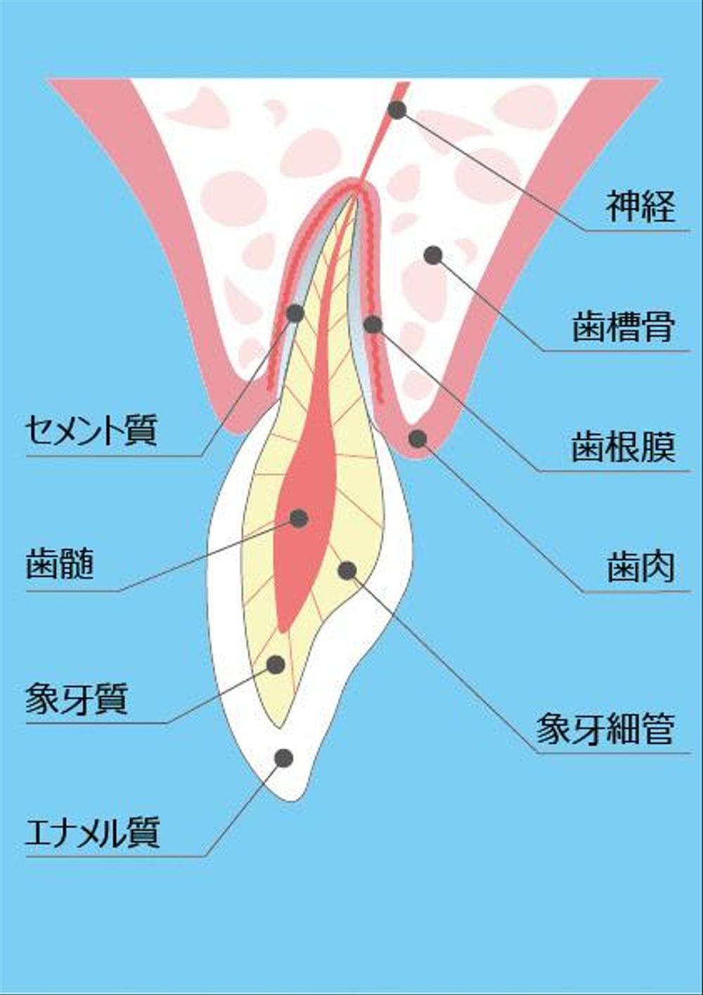 プレゼンに使用するイラストの動画を作成していただきたい