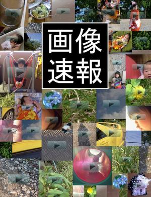 ageha蝶 ()さんのiphoneアプリ「画像速報」のアイコン及び起動時画像作成への提案