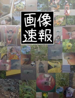 ageha蝶 ()さんのiphoneアプリ「画像速報」のアイコン及び起動時画像作成への提案