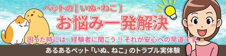 stepmew (stepmew)さんのペットお悩みサイト バナーイラスト作成依頼サイズ 1000×250 関連バナー3枚募集 への提案