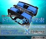 てつこ (tetuko_fe)さんの【ロボット系】ディスプレイ広告用のバナー制作をお願いしますへの提案