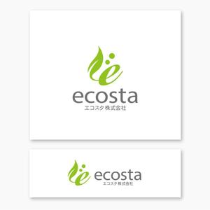design vero (VERO)さんの「ecosta」のロゴ制作依頼への提案