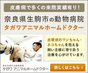 Gururi_no_koto (Gururi_no_koto)さんの動物病院のサイトのバナー作成（皮膚病に強い旨を伝える内容）への提案