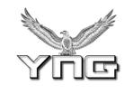 suzuki yuji (s-tokai)さんのYNGというグループ会社のロゴの作成依頼です。への提案