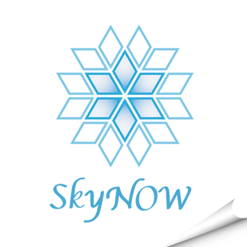 SkyNOW様ご提案_1.jpg