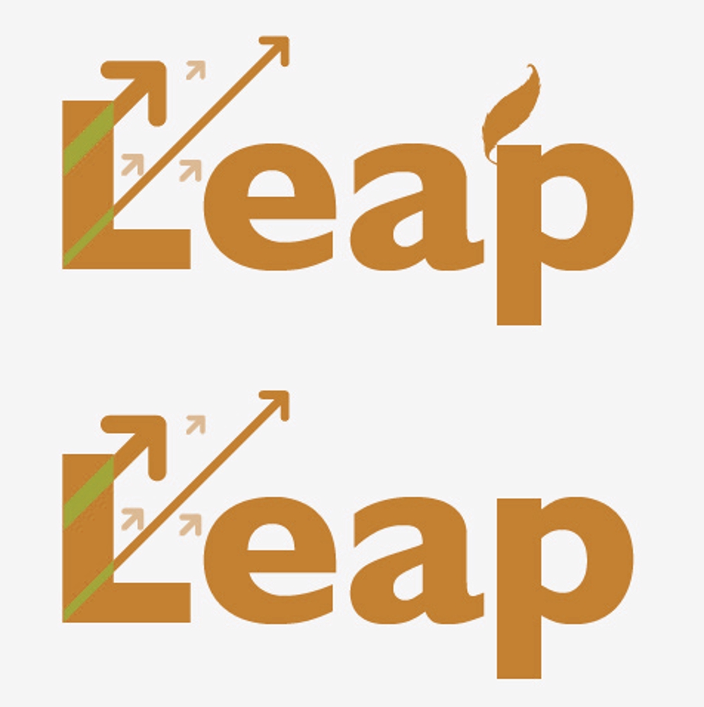 Leap2.jpg