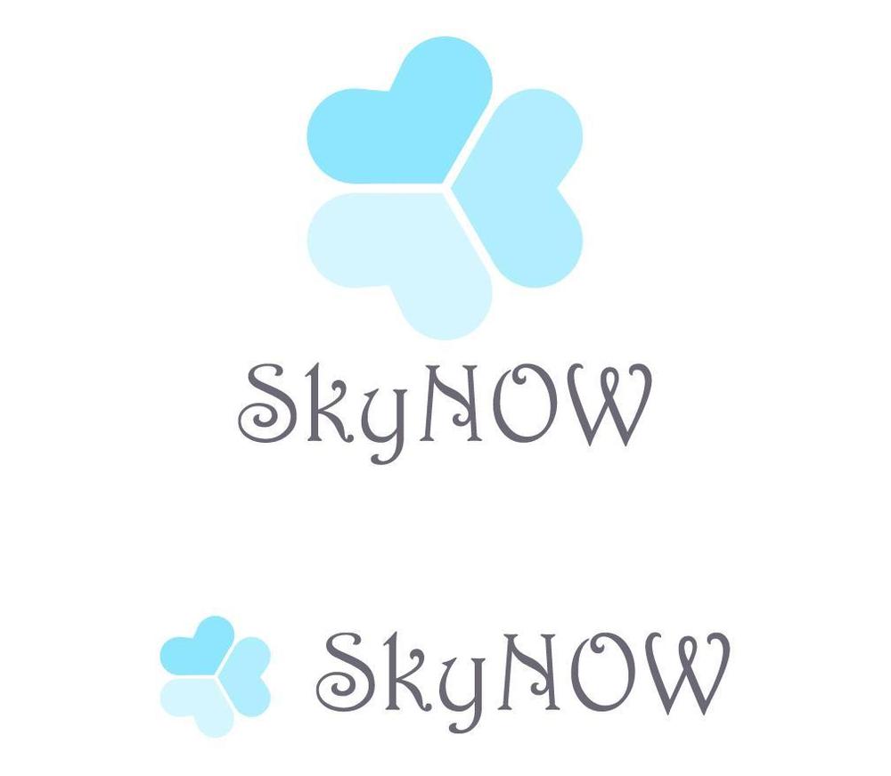 SkyNOW02.jpg