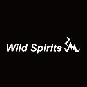 ヤマグチ　ヨシヒロ (yama19820909)さんのアウトドアブランド「Wild Spirits」のロゴ、マークへの提案