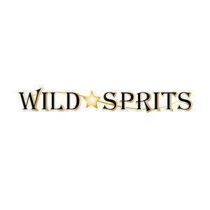 ma0444さんのアウトドアブランド「Wild Spirits」のロゴ、マークへの提案