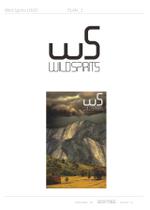 BOXTREE (BoxTree)さんのアウトドアブランド「Wild Spirits」のロゴ、マークへの提案