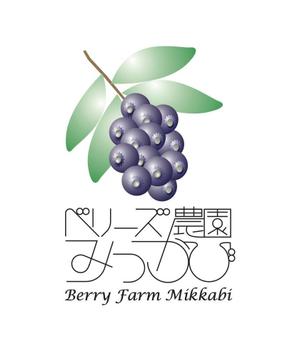 スペースおいち・広告制作部 (YoshitakaNishizawa)さんのブルーベリー農園「ベリーズ農園みっかび」のロゴへの提案