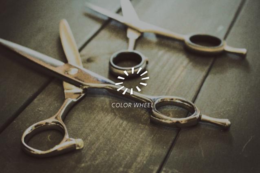 美容室店舗向け製品を扱う会社「COLOR WHEEL」ロゴデザインの募集