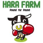 LeonoAさんの従業員の作業着用Tシャツのロゴ、プリントへの提案