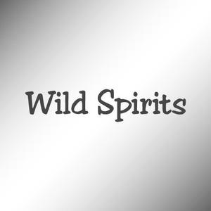 日本太郎 (mt8416)さんのアウトドアブランド「Wild Spirits」のロゴ、マークへの提案