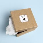 cashy (cashy)さんのバレエ衣装レンタルショップ「チュチュの箱」のロゴへの提案