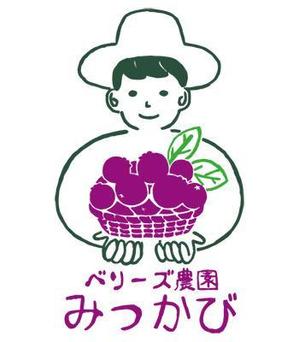 富田晴 (tomita_555)さんのブルーベリー農園「ベリーズ農園みっかび」のロゴへの提案