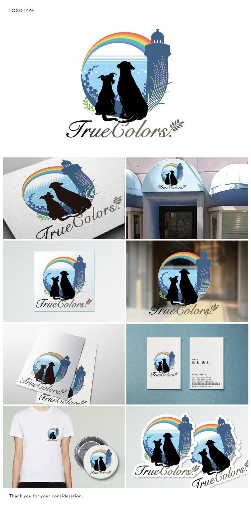 TrueColors展開-01.jpg