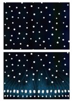 BOXTREE (BoxTree)さんの【蝶の羽＆体の模様】写真トレースからのテクスチャ画像作成への提案