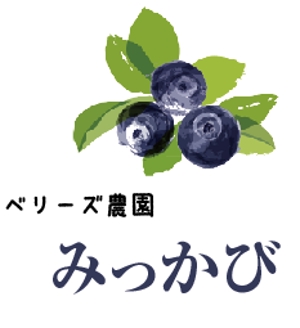 creative1 (AkihikoMiyamoto)さんのブルーベリー農園「ベリーズ農園みっかび」のロゴへの提案