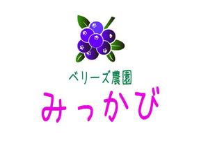 suzuki yuji (s-tokai)さんのブルーベリー農園「ベリーズ農園みっかび」のロゴへの提案