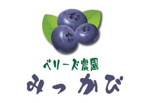 suzuki yuji (s-tokai)さんのブルーベリー農園「ベリーズ農園みっかび」のロゴへの提案