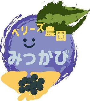 haruRu (haruRu)さんのブルーベリー農園「ベリーズ農園みっかび」のロゴへの提案