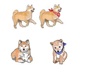 komi ちゃん (djkomi)さんの柴犬のキャラクターデザインへの提案