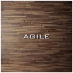 FUNCTION (sift)さんのコピー・印刷の会社「AGILE」のロゴへの提案