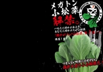 金子岳 (gkaneko)さんの食品加工業者、飲食店向け小松菜「メガトン小松菜」のパンフレットへの提案