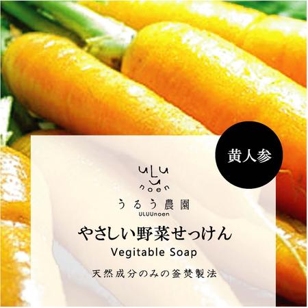 Redberry (Redberry)さんの野菜石鹸のラベルデザインへの提案