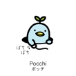 pocchi(3).jpg