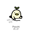 pocchi(2).jpg