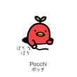 pocchi(1).jpg