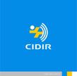 CIDIR-1-2a.jpg