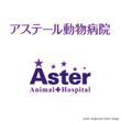 aster_logo_d_0226_2.jpg