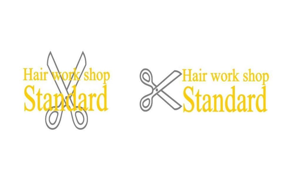 Hair work shop Standard.jpg