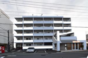 sarenda (sarenda)さんの外壁塗装デザイン（急募）マンション1棟の外壁塗装カラーコーディネート　への提案