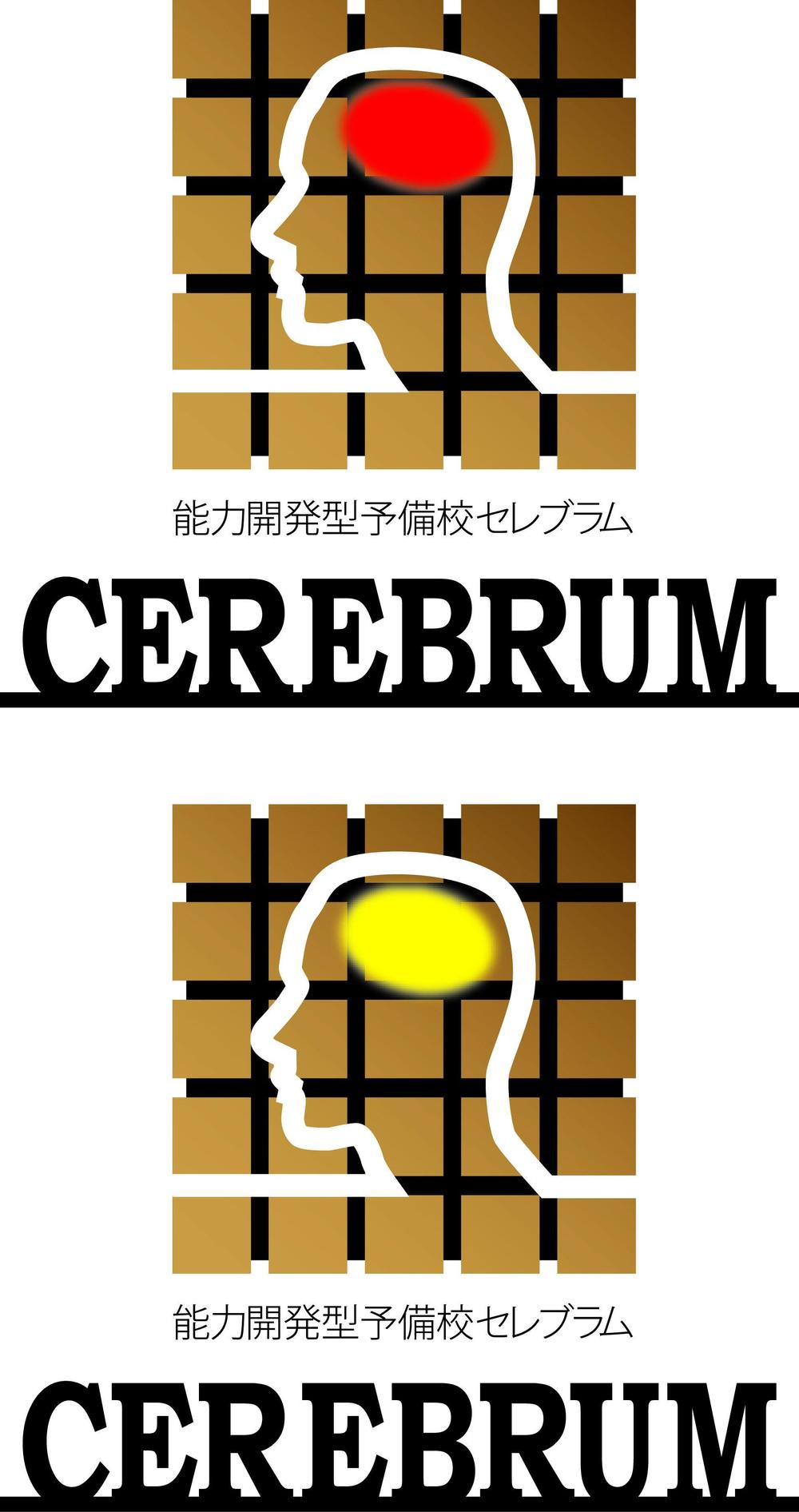 CEREBRUM_COLOR.jpg