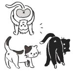 渡辺恵美 (matsumegu)さんのオシリが可愛い猫／動物イラストへの提案