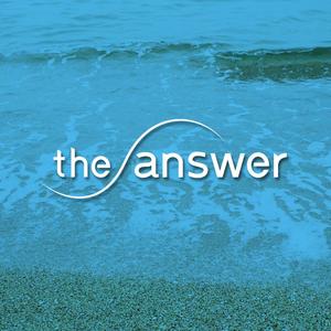 DENデザイン (den-design)さんの心理学を学べる・メンタルを強くするオンラインスクール「the answer」のロゴへの提案