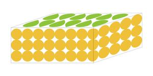 KALIPEさんのみかん箱のデザインへの提案