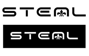 FISHERMAN (FISHERMAN)さんのレザーブランド「STEAL」のロゴ作成への提案