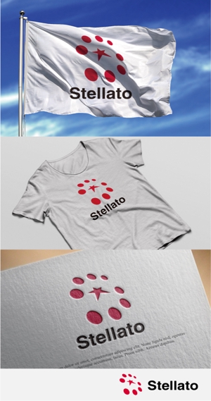 drkigawa (drkigawa)さんのハウスクリーニング・内装リフォームを行う【株式会社Stellato】のロゴを募集します！への提案