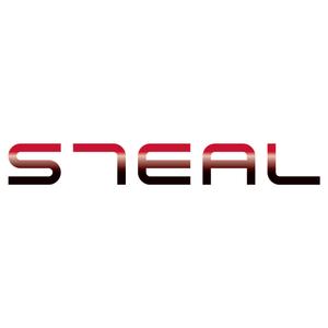 Be House［ビーハウス］ (hirox)さんのレザーブランド「STEAL」のロゴ作成への提案