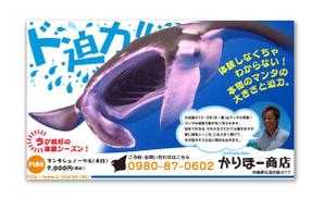MajiQ（マジック） (MajiQ)さんの石垣島の観光フリーペーパーに掲載するマリンアクティビティの広告デザインへの提案