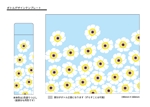 Hiryumaru7_design (Usimaru7)さんの ＊30～40代女性向けの「花柄ステンレスボトル」のデザイン作成依頼＊への提案