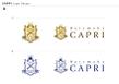 CAPLI_logo_designA.jpg