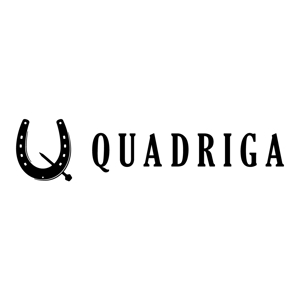 zi_ziさんの「QUADRIGA」のロゴ作成への提案