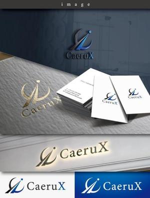 late_design ()さんのシステム受託開発、研究/開発の会社「CaeruX」（読み：カイロクス）のロゴ作成依頼です。への提案